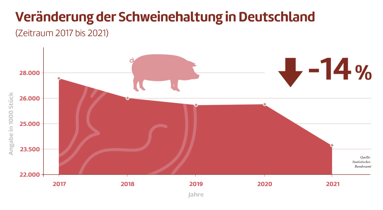 Rückgang Schweinehaltung in Deutschland
