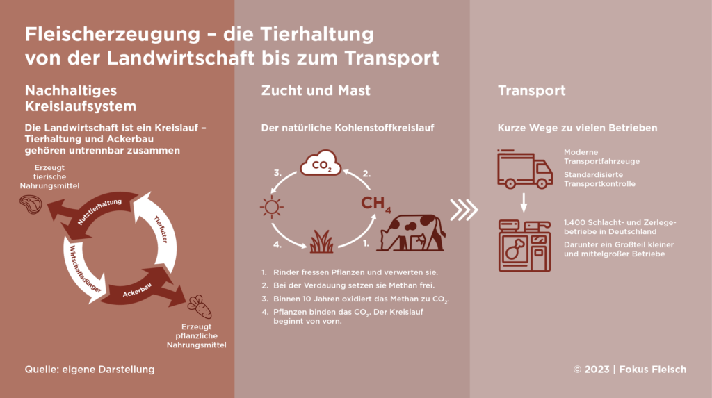 Fokus fleisch der report zur deutschen fleischwirtschaft 09